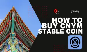 How to Buy CNYM Stable Coin (CNYM)