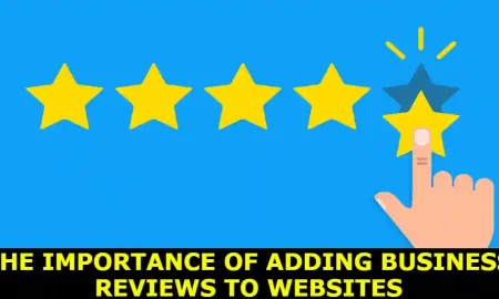 The Importance of Adding Business Reviews to Websites
