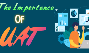 The Importance of UAT